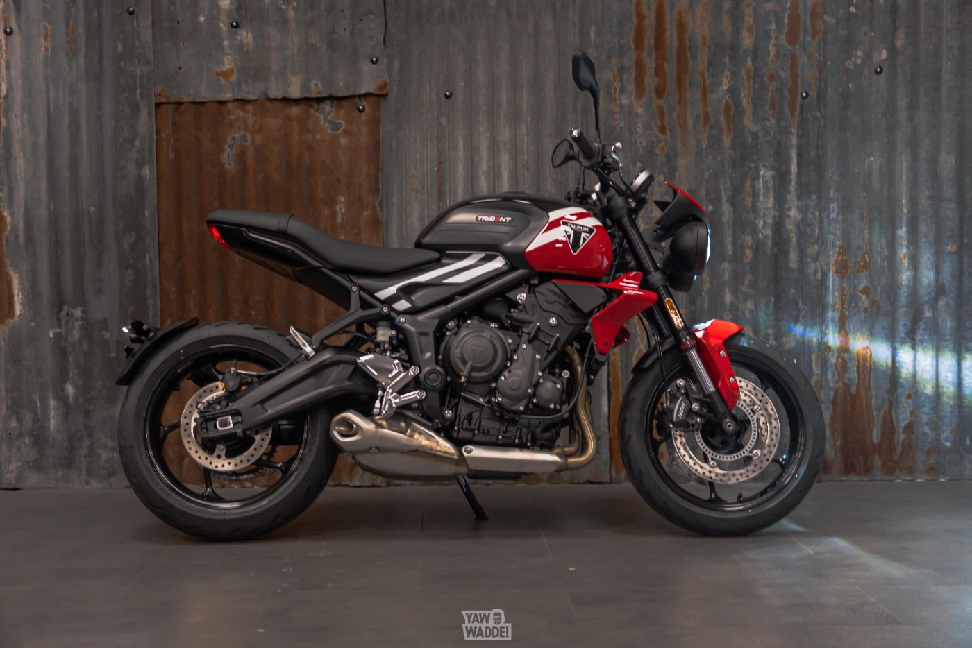 Trident 660 R- NoisyStyle Custom