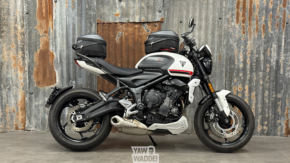 Triumph Trident 660- Mat Crystal White