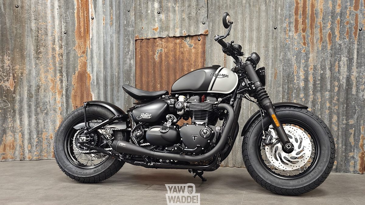 Custom Bobber: 2-tone