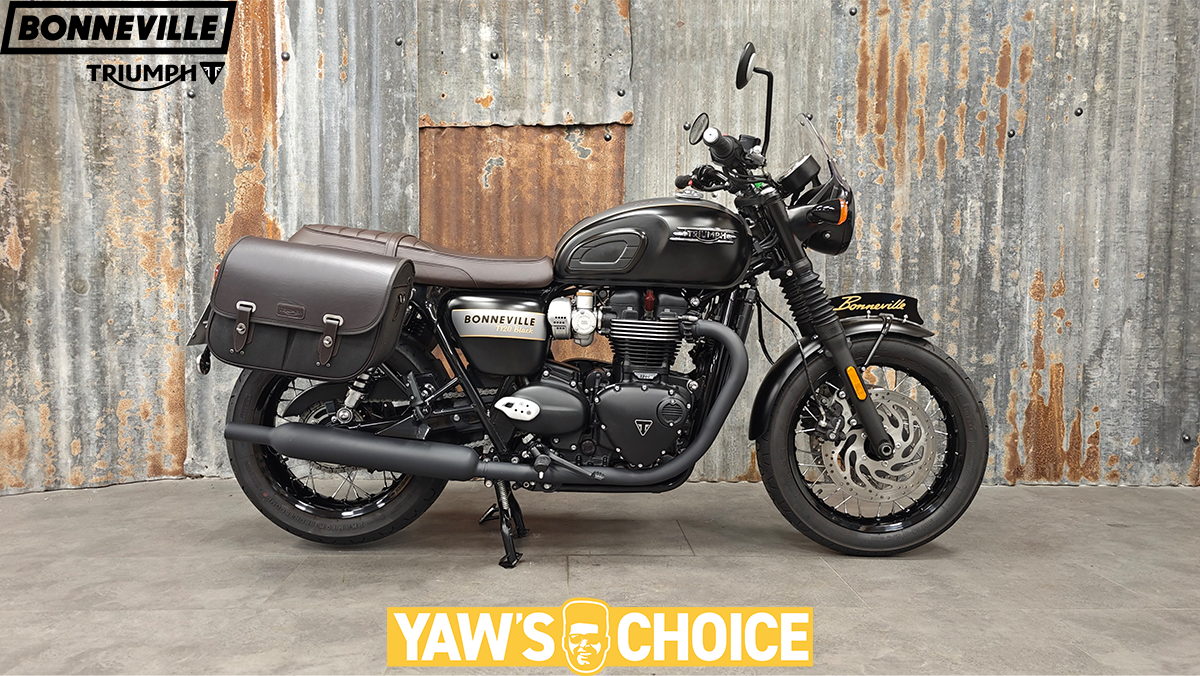 Triumph Bonneville T120 Black: Gold Line