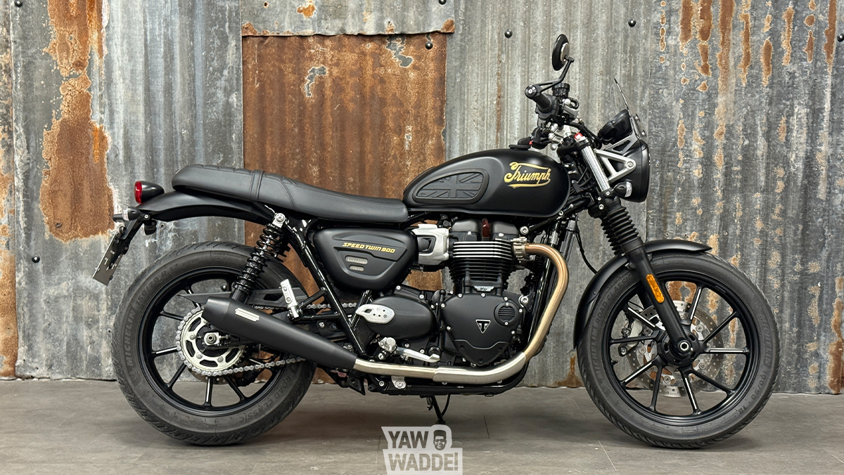 Triumph Speed Twin 900: Black& Gold Custom